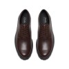 Clarks - Berwick Lace Brown Leather Clarks - Berwick Lace Brown Leather